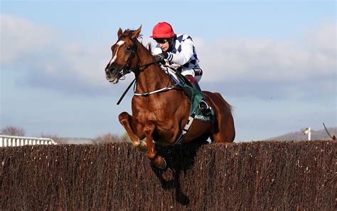 Cheltenham Gold Cup day tips: Best bets for Friday at the .